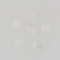 CIRCLE WHITE OPALESCENT 20 KOM DSD01/WHITE Art. 8635