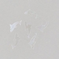 DOLPHIN WHITE OPALESCENT 20 KOM DSD02/WHITE Art. 8635